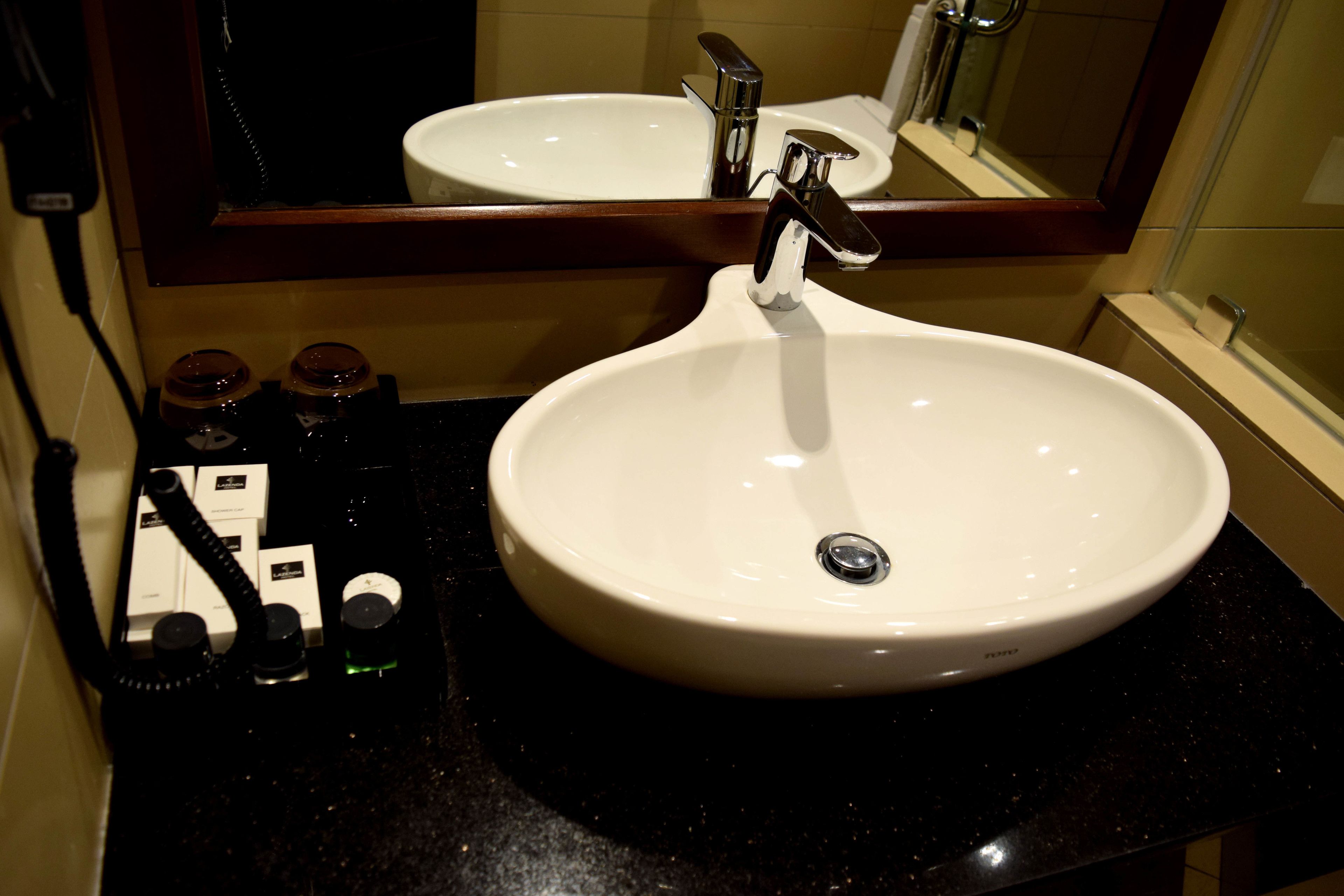 deluxe room | bathroom | shower, free toiletries, hair dryer, bidet