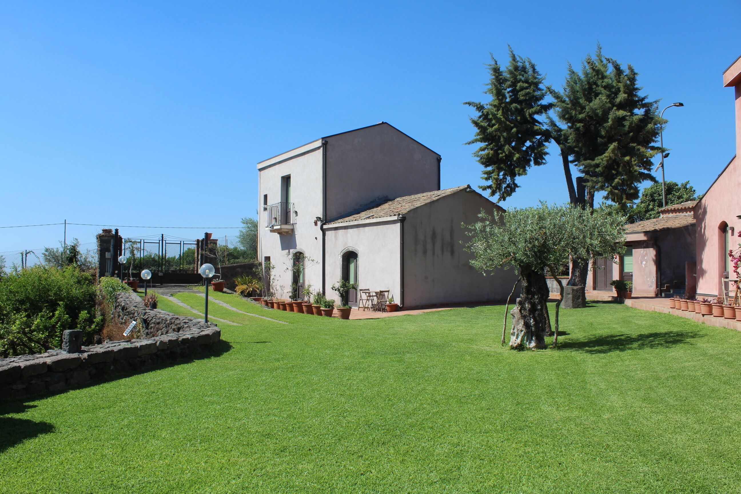 A courtyard with a building, a lawn, and potted plants.