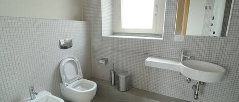 A modern bathroom with a bidet, a sink, and a mirror.