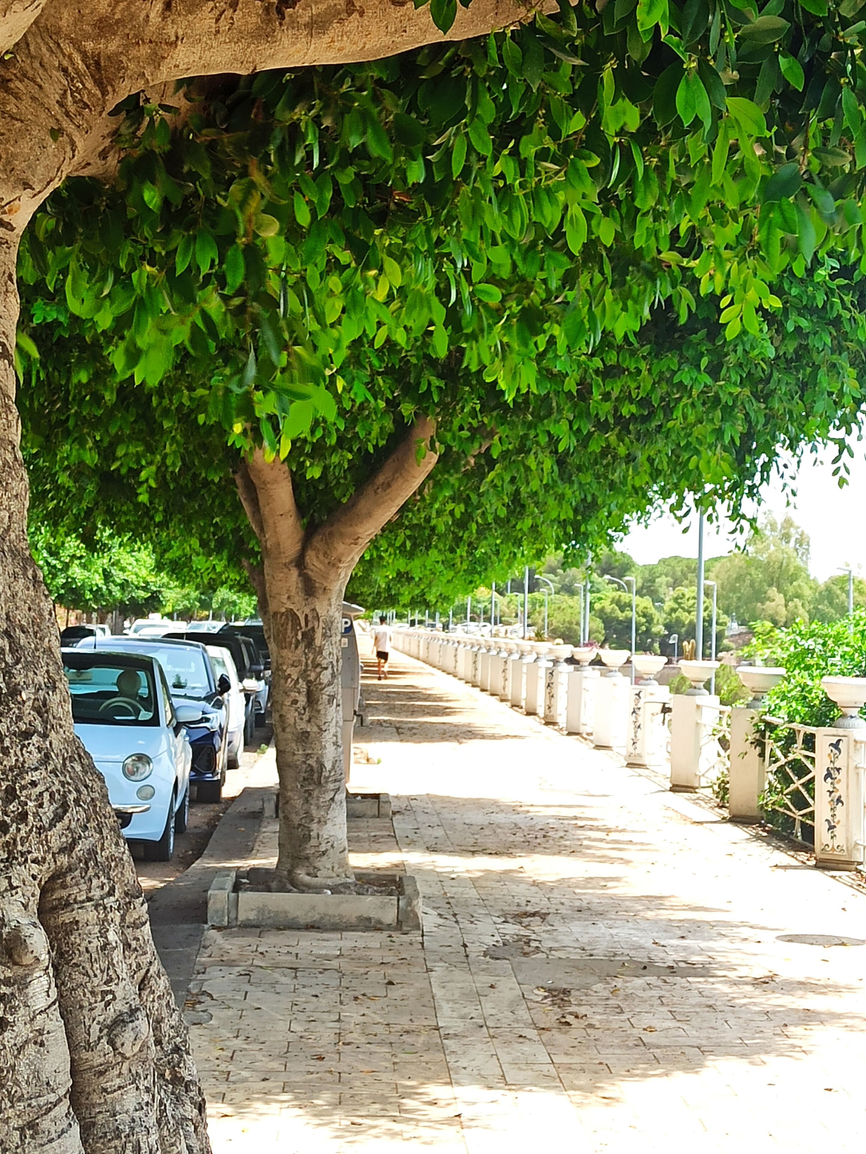 Foto - B&B Le 4 Stagioni