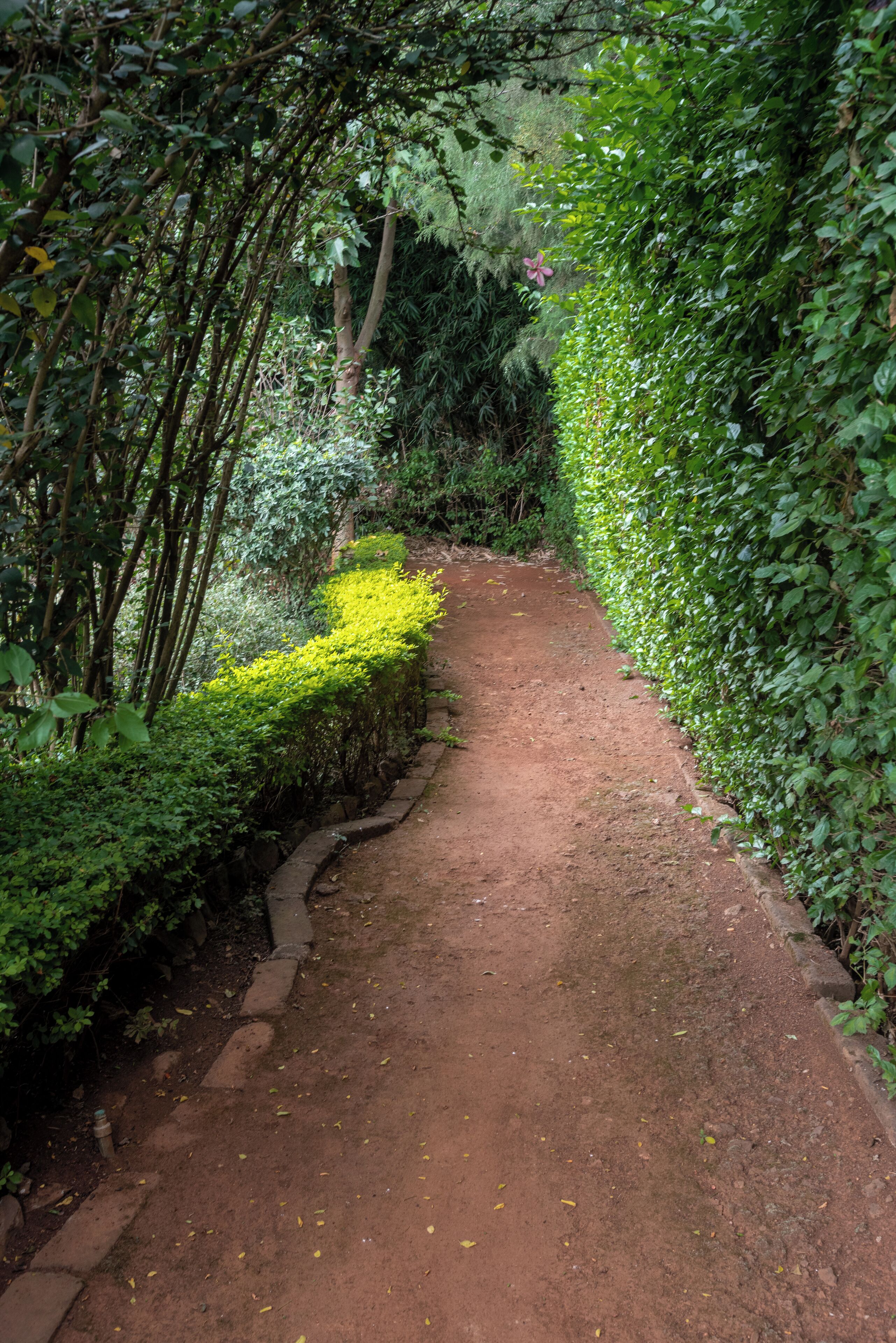 Photo - Sportsview Hotel Kasarani