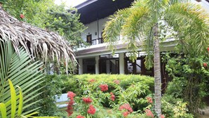 A tropical garden with a thatched-roof structure, lush greenery, and a building with large windows. - SunzEn Palawan, Resort (Sunz En Coron Resort) (Coron)