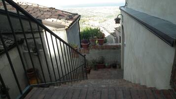 Un escalier menant à une terrasse sur le toit, agrémentée de plantes en pot et offrant une vue sur le paysage.