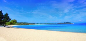 A beach with clear blue water, sandy shore, and a tree line. - Chrousso Village (Kassandra)
