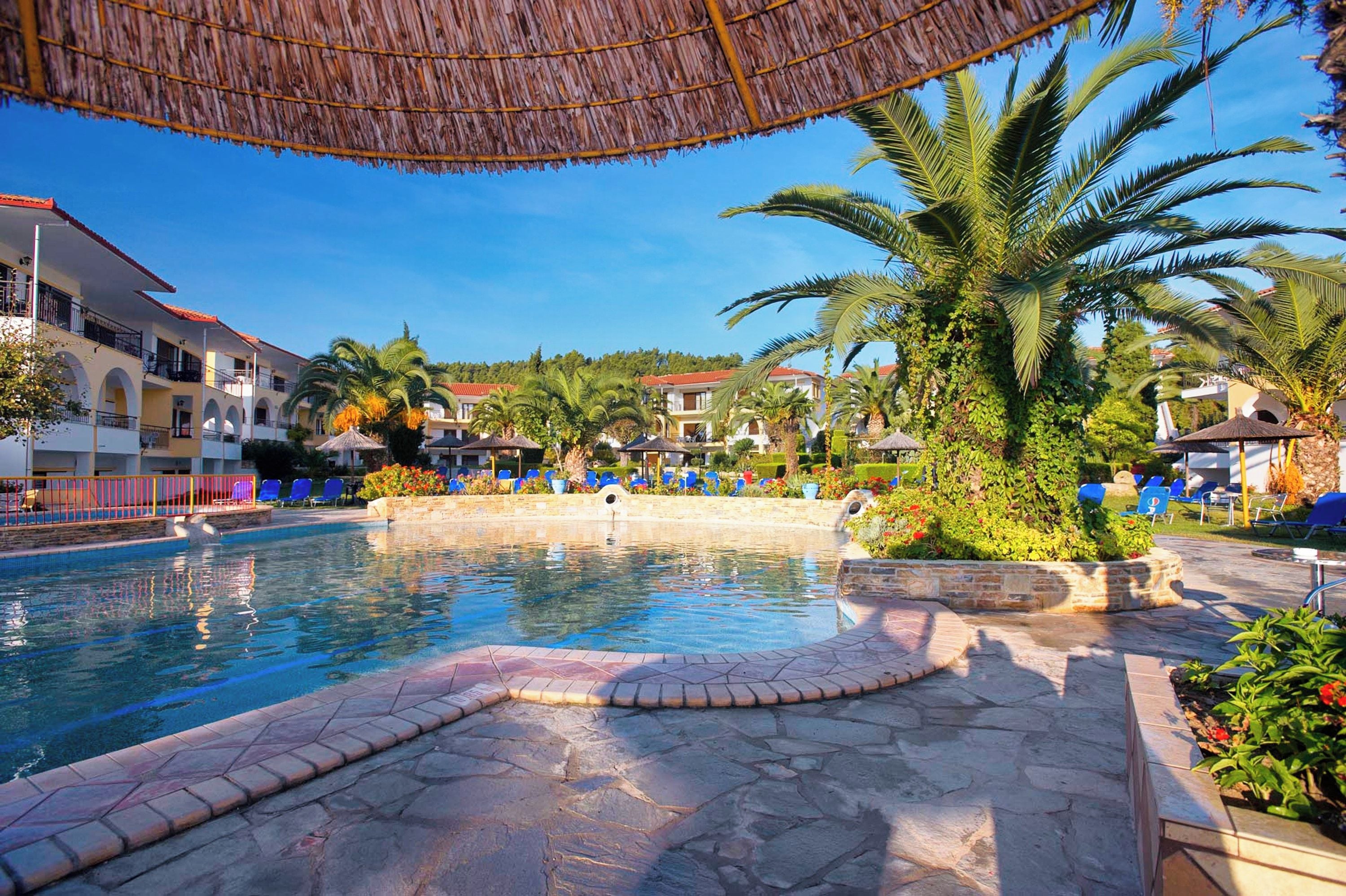 A swimming pool with a stone deck, surrounded by palm trees and lounge chairs.