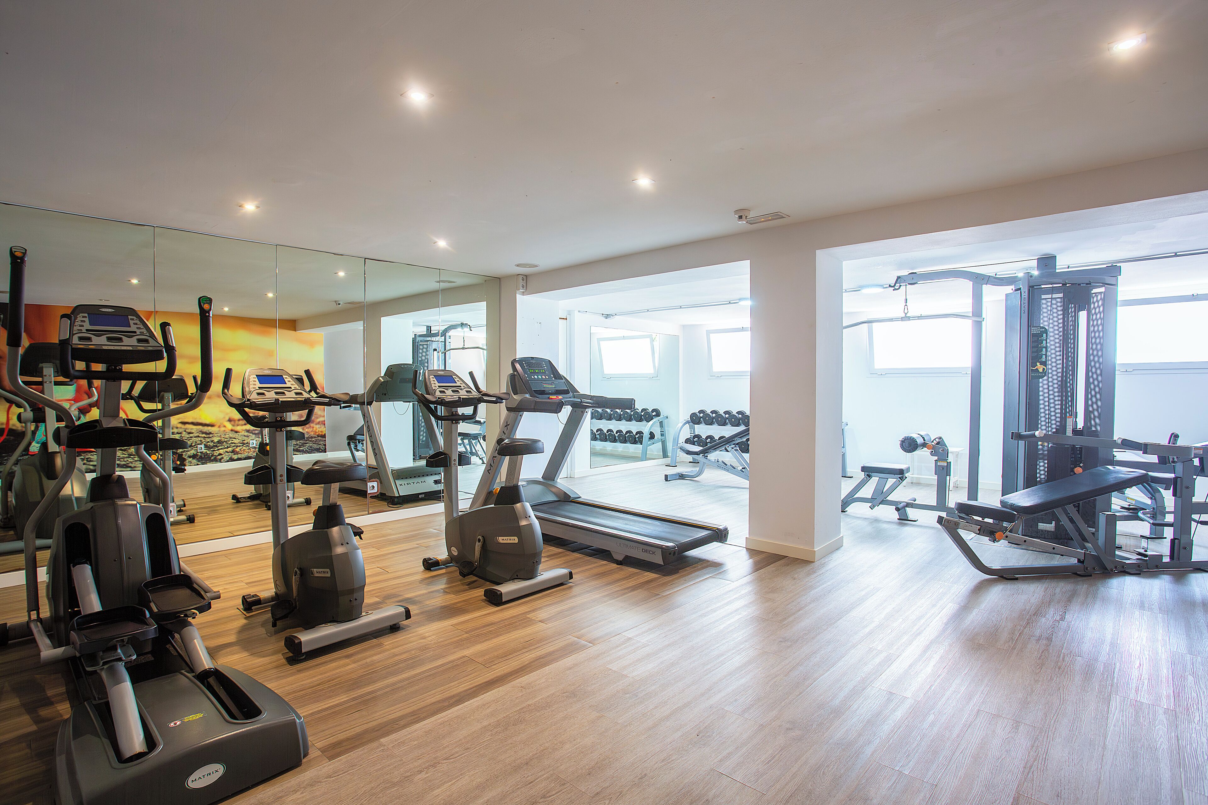 A modern gym with various cardio and strength training equipment, large windows, and a wooden floor.