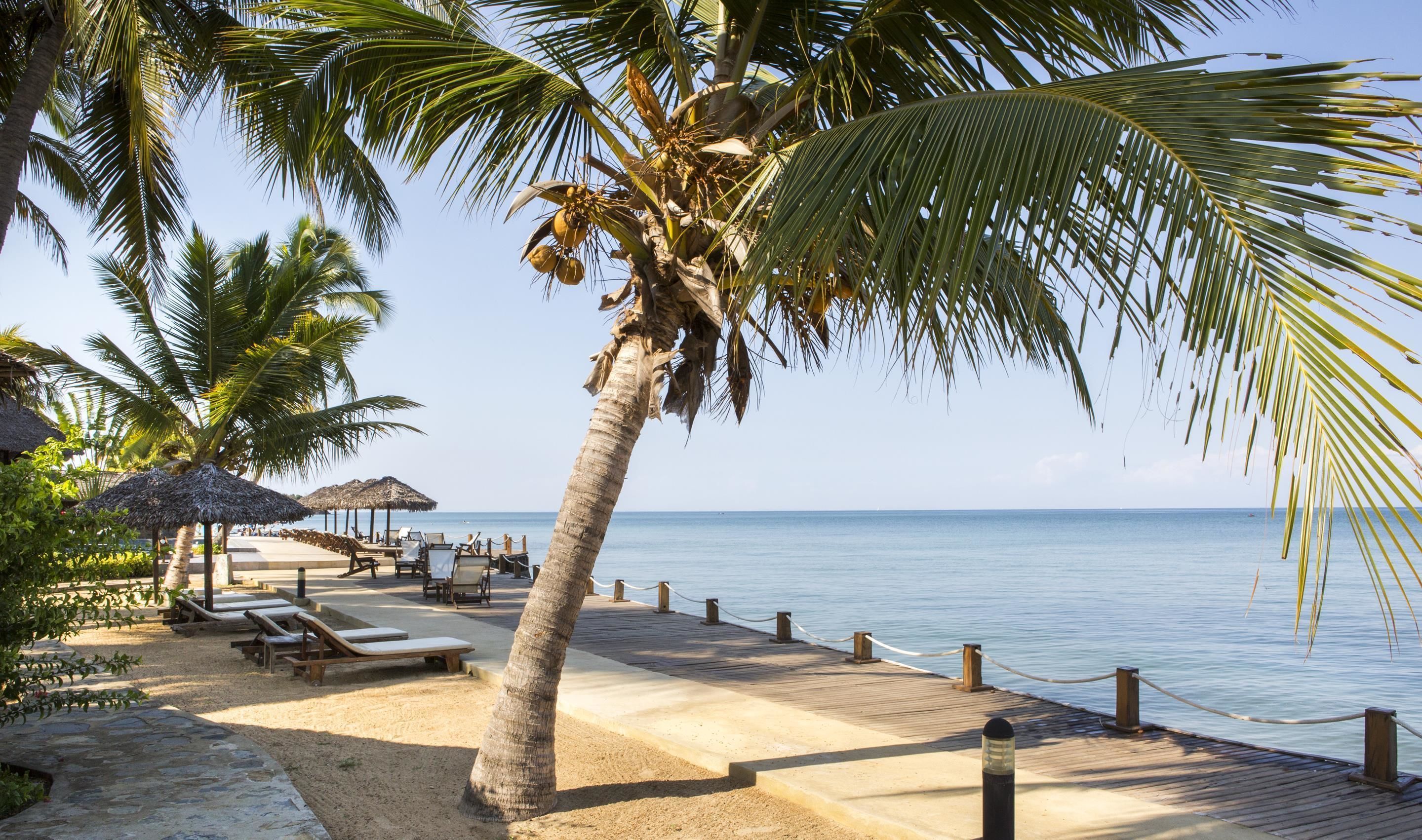 A beach with palm trees, lounge chairs, and a wooden pier leading to the water.