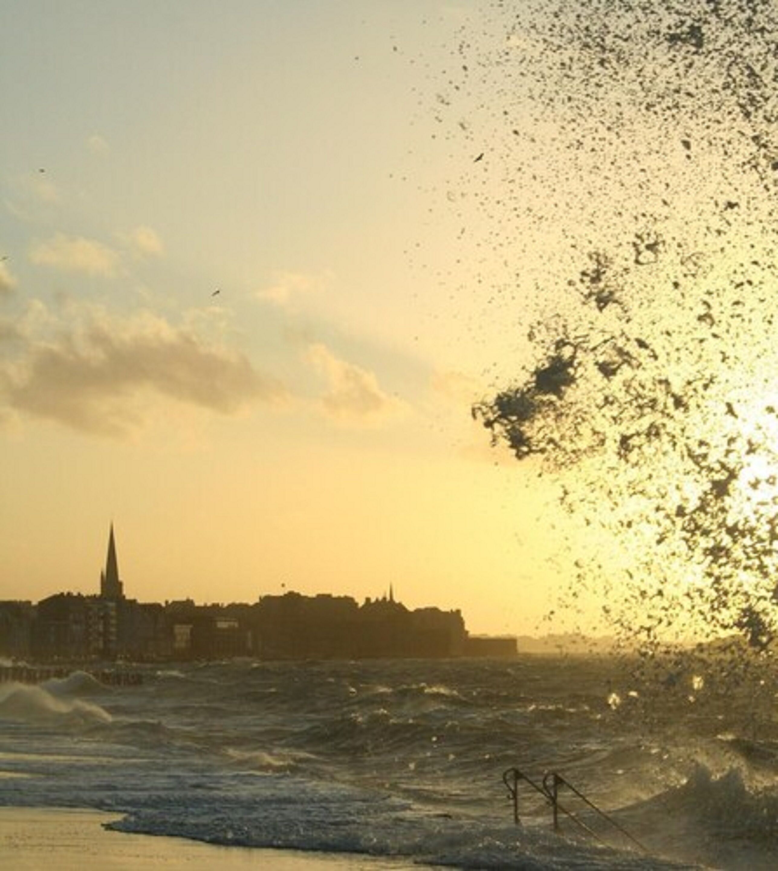 Photo - Hôtel Le Jersey