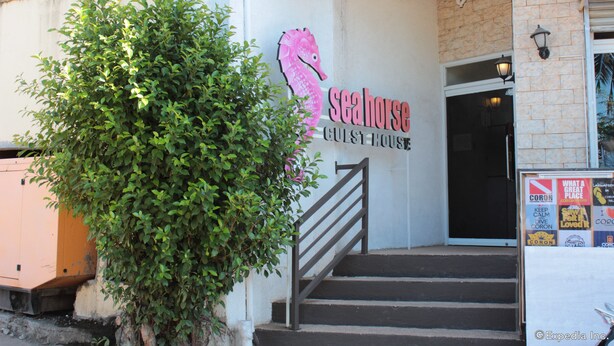 La entrada a una casa de huéspedes con un letrero que muestra un logotipo de caballito de mar y el nombre 'Seahorse Guest House'.