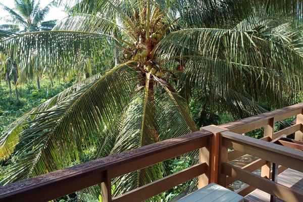 Standard Double Room | Balkong