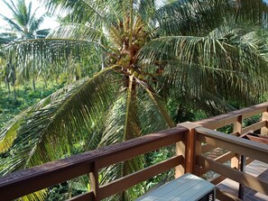 Une terrasse en bois offrant une vue sur des palmiers et un paysage verdoyant luxuriant.