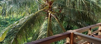 N.D. Place Lanta