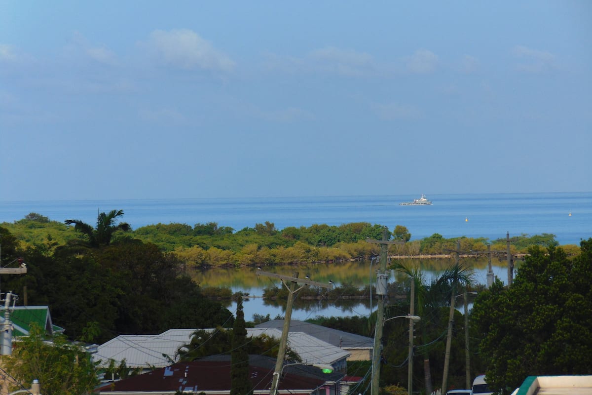 A coastal view with a body of water, a ship in the distance, and dense greenery.
