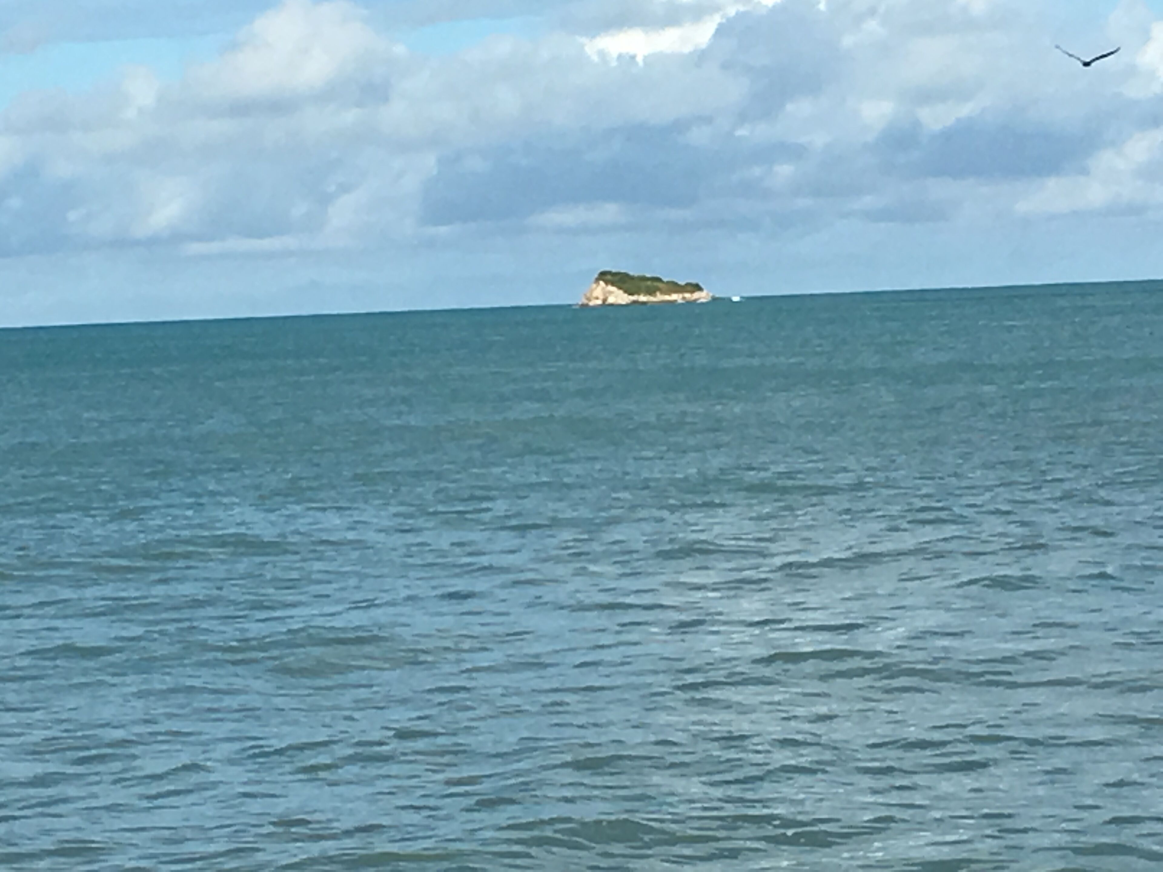 beach nearby, white sand, beach shuttle