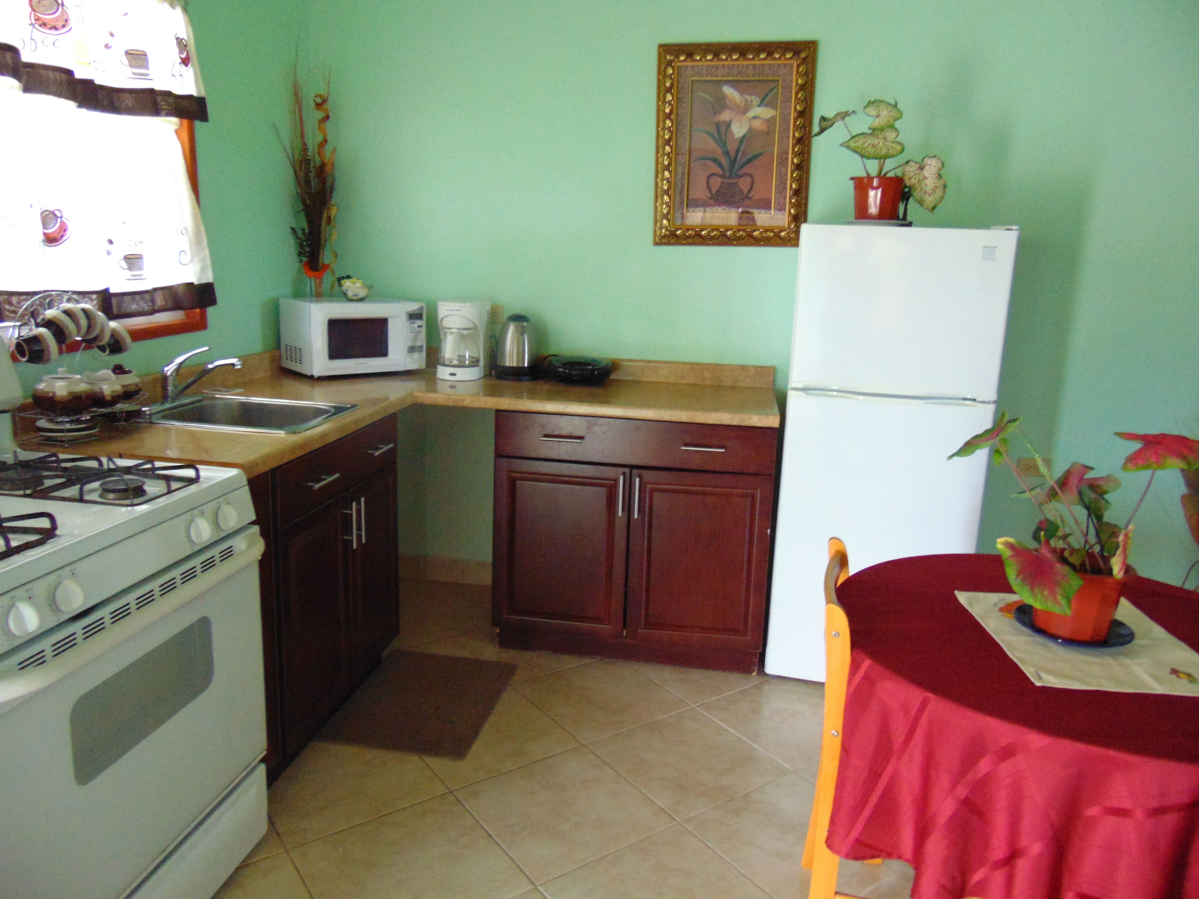 A compact kitchen with a gas stove, microwave, sink, and a refrigerator.