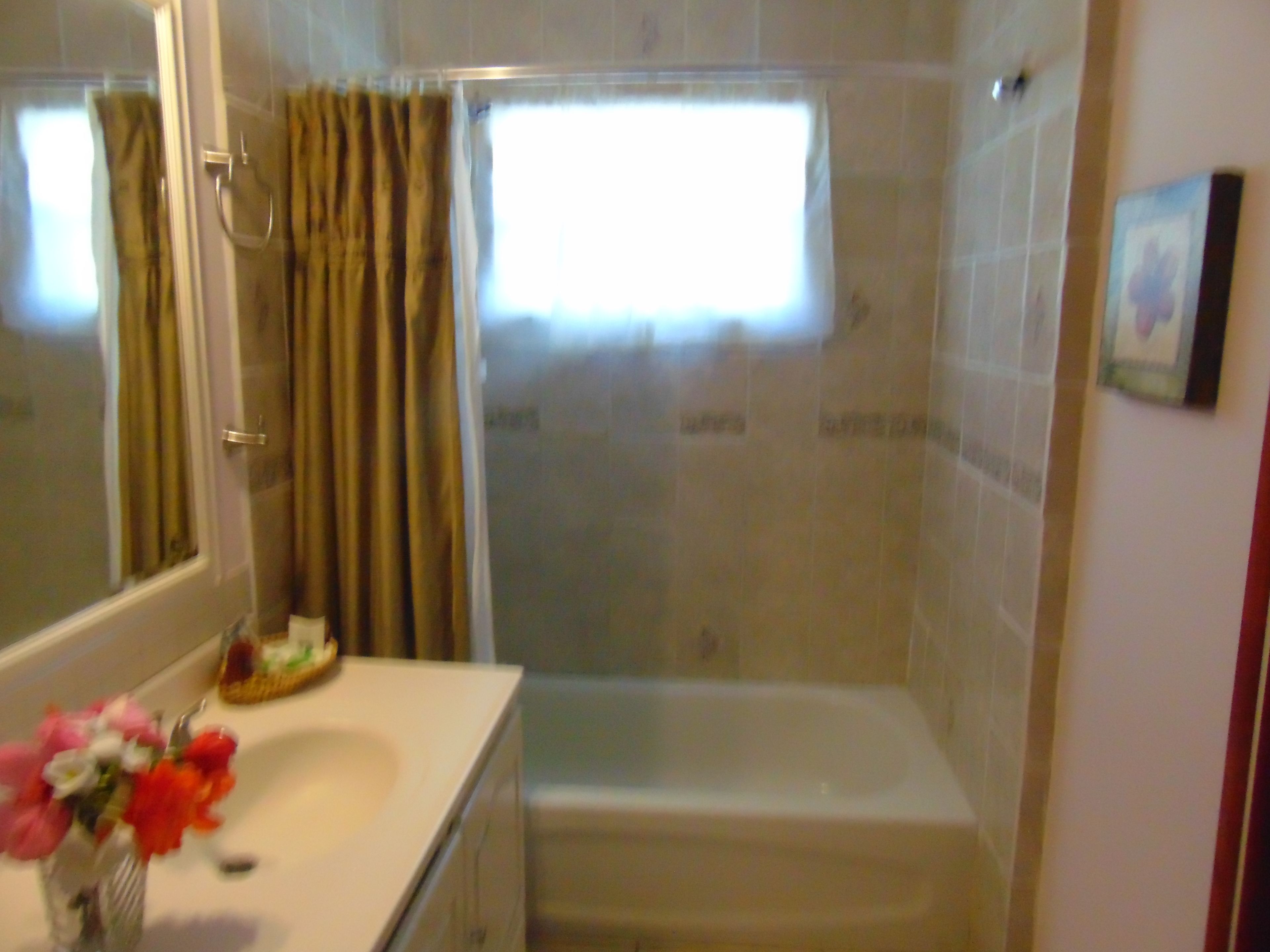 Une salle de bain avec une douche, un lavabo et un miroir.