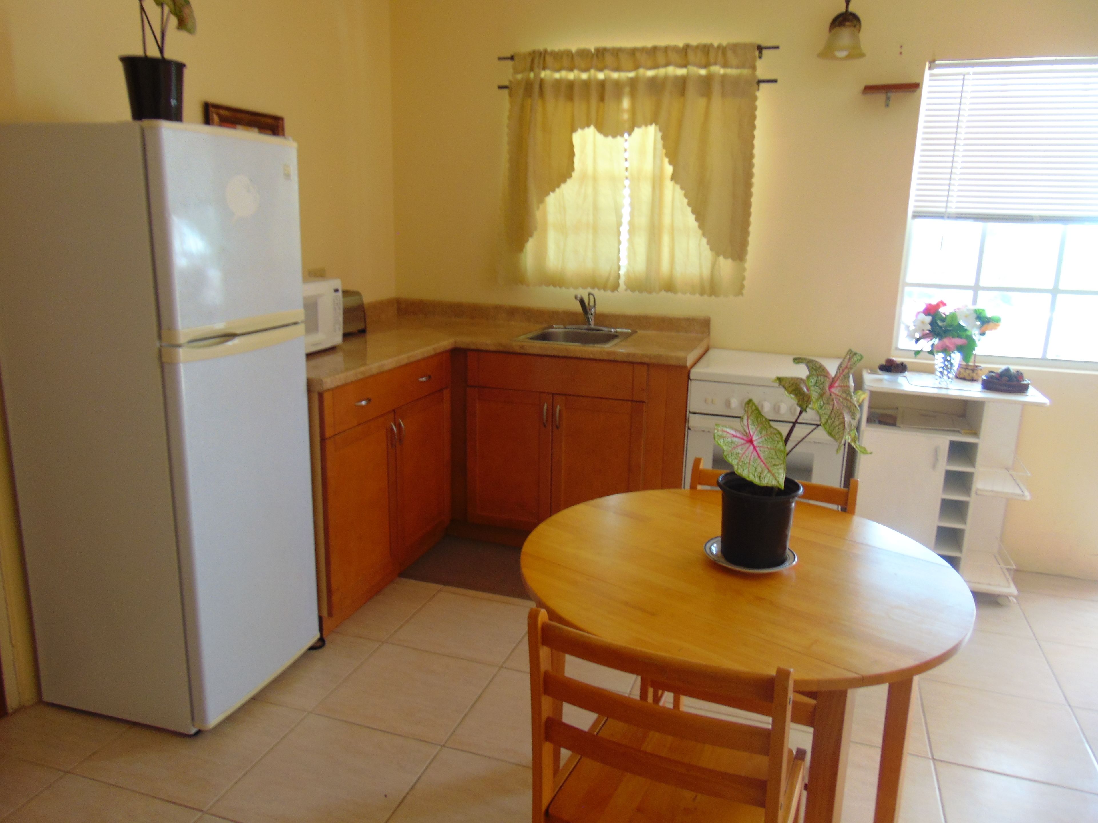 A compact kitchen with a refrigerator, microwave, sink, and wooden cabinets. There's a dining table with chairs and a potted plant on the windowsill.