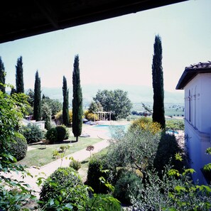 A garden with a pool, tall cypress trees, and a white building with a tiled roof.