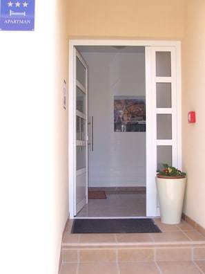 Une porte d’entrée avec une vitre, qui donne sur une pièce, un paillasson et une plante en pot.