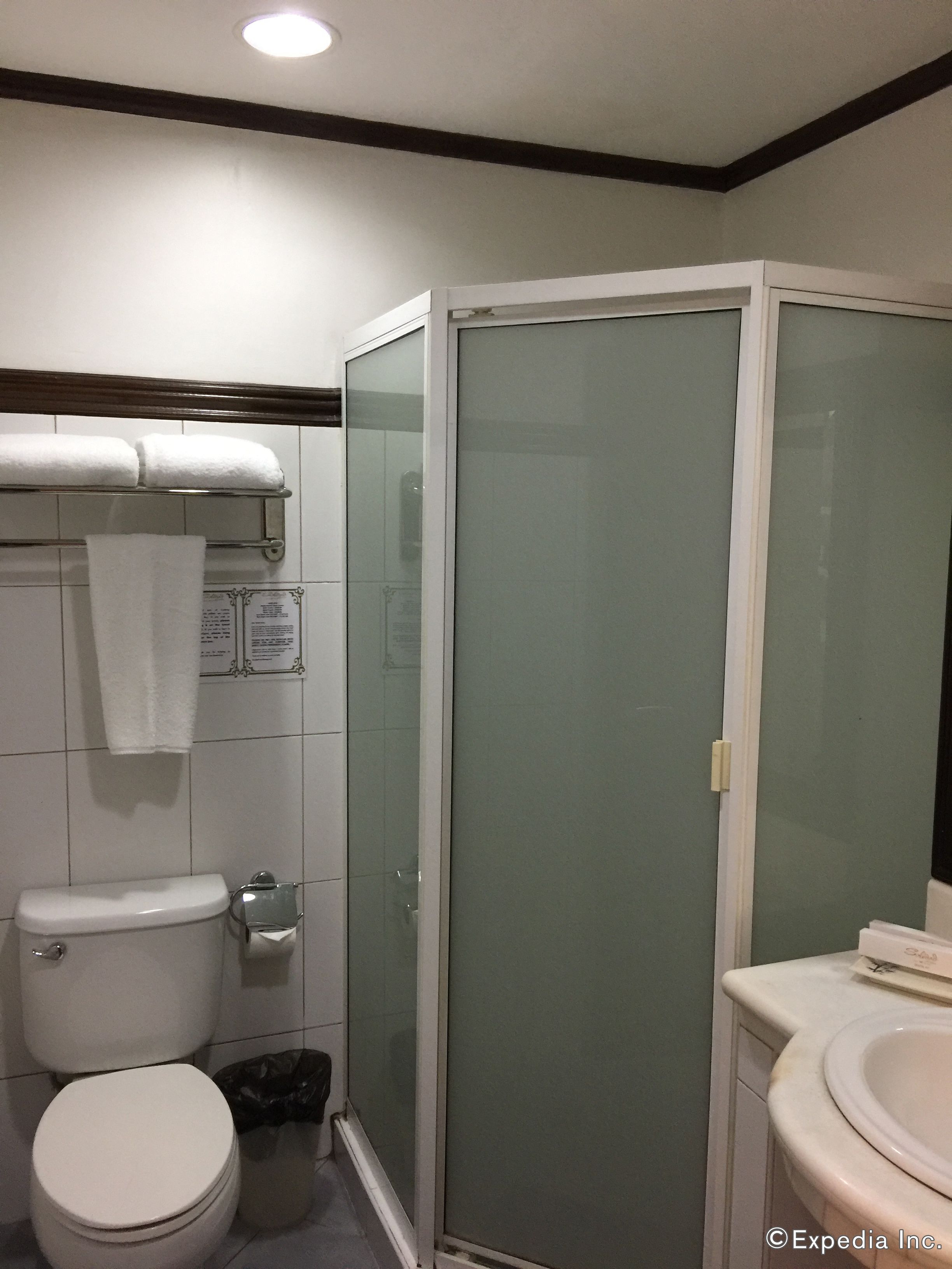 A bathroom with a toilet, a glass-enclosed shower, and a sink.