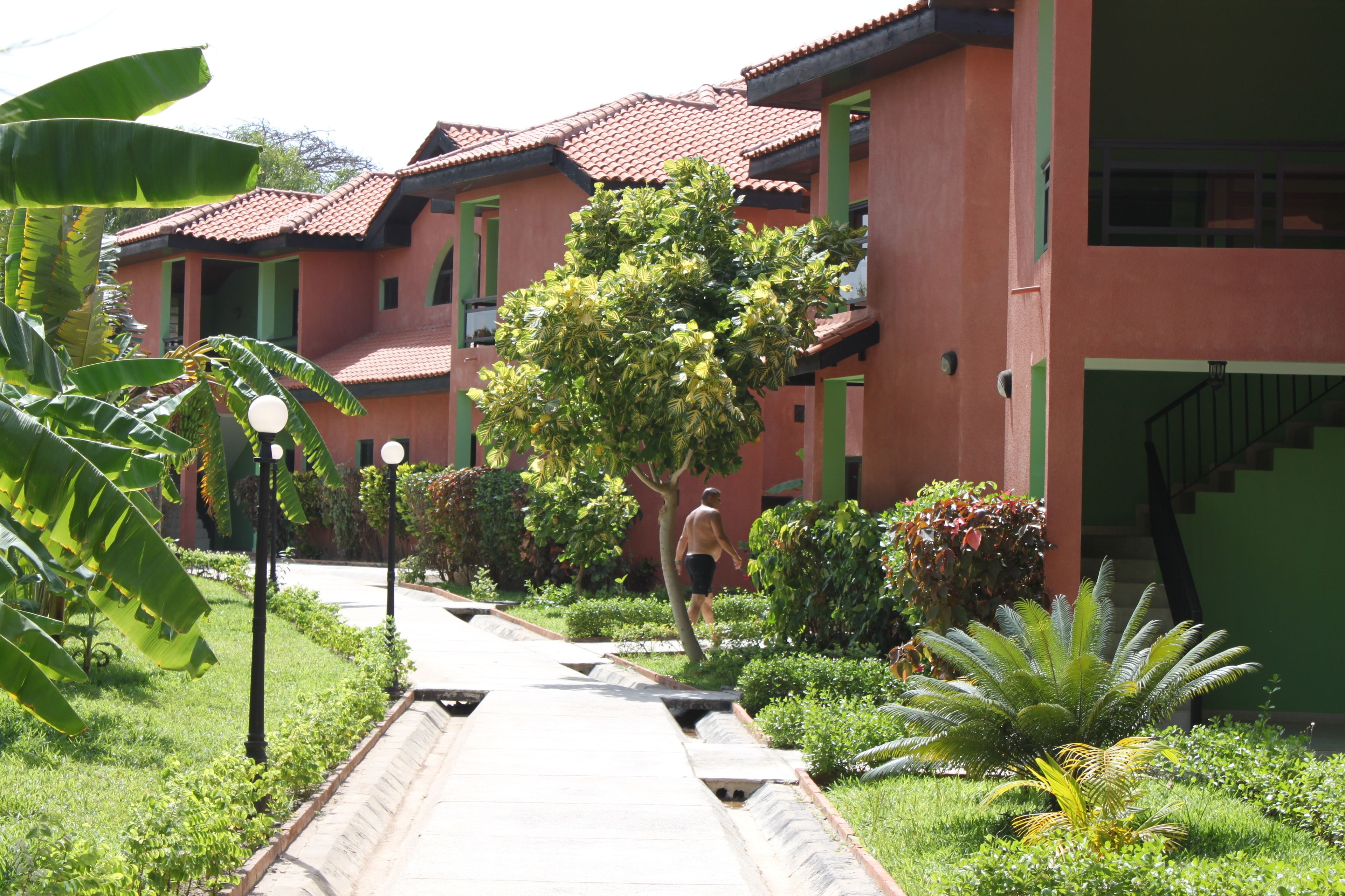 A pathway leading to a building with a tiled roof and green accents.