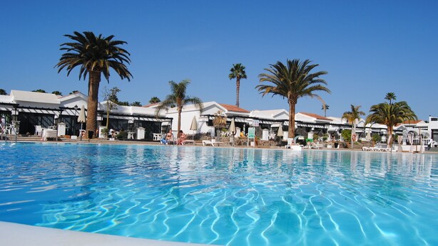 Une piscine avec des chaises longues et des palmiers.