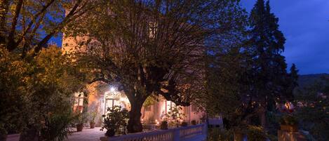 A courtyard with a large tree, a stone staircase, and a building in the background.