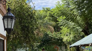 A backyard with a swimming pool, a pergola, and a garden area. - Gorilla - Hostel (Mendoza)