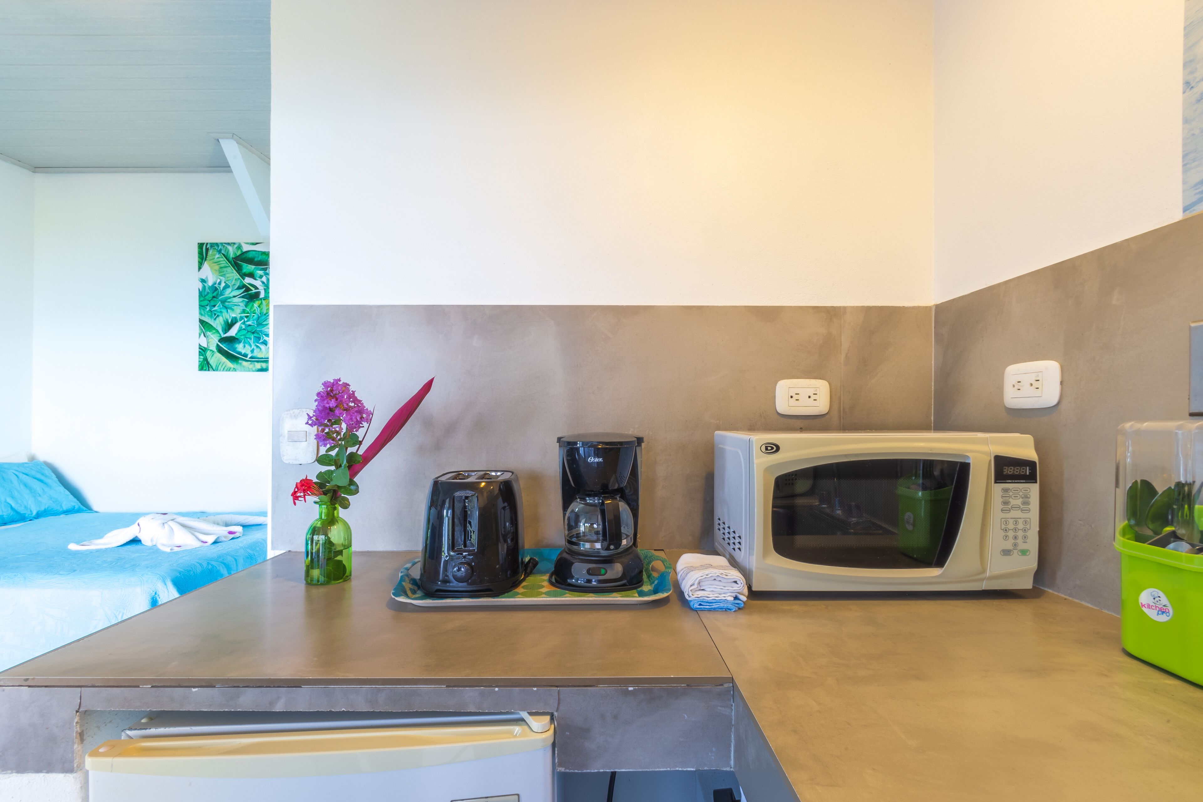 standard room | private kitchen | full-sized fridge, microwave, oven, coffee/tea maker