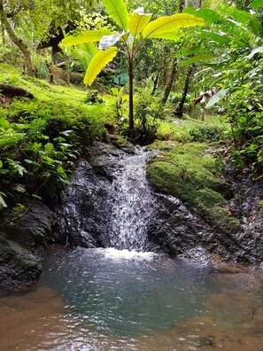 Property grounds - Sukia Hostel (Drake Bay)