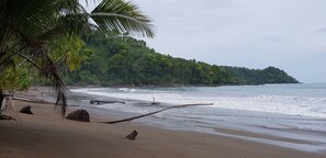 Beach nearby, beach shuttle - Sukia Hostel (Drake Bay)