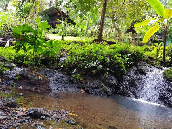 Property grounds - Sukia Hostel (Drake Bay)