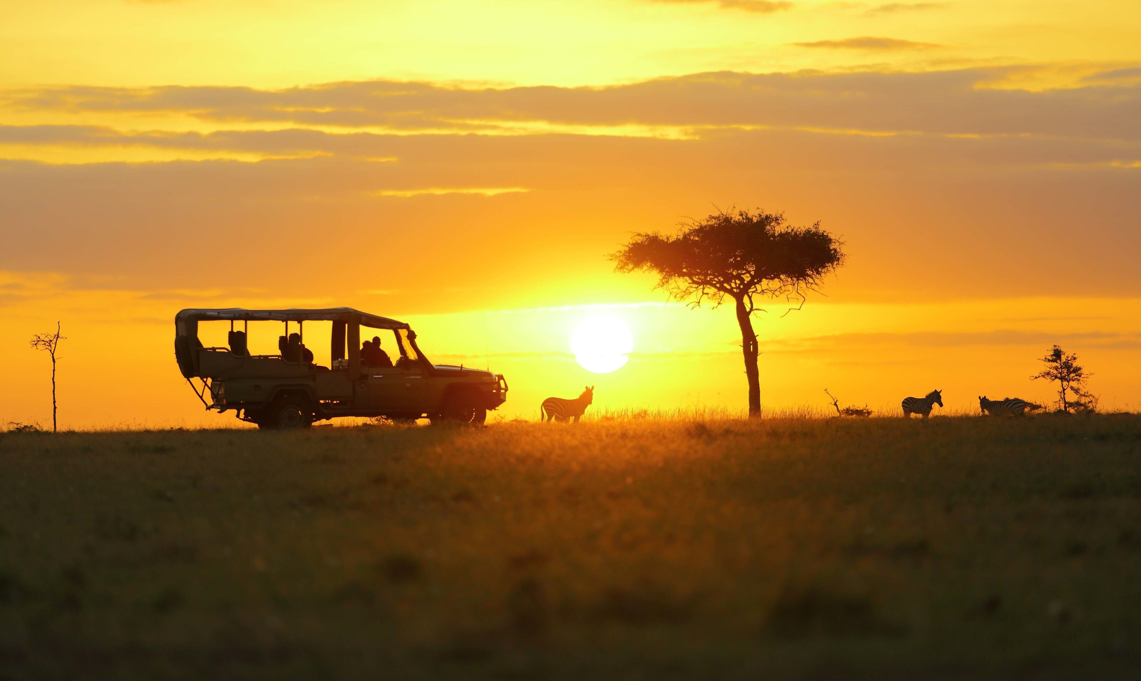 Game viewing