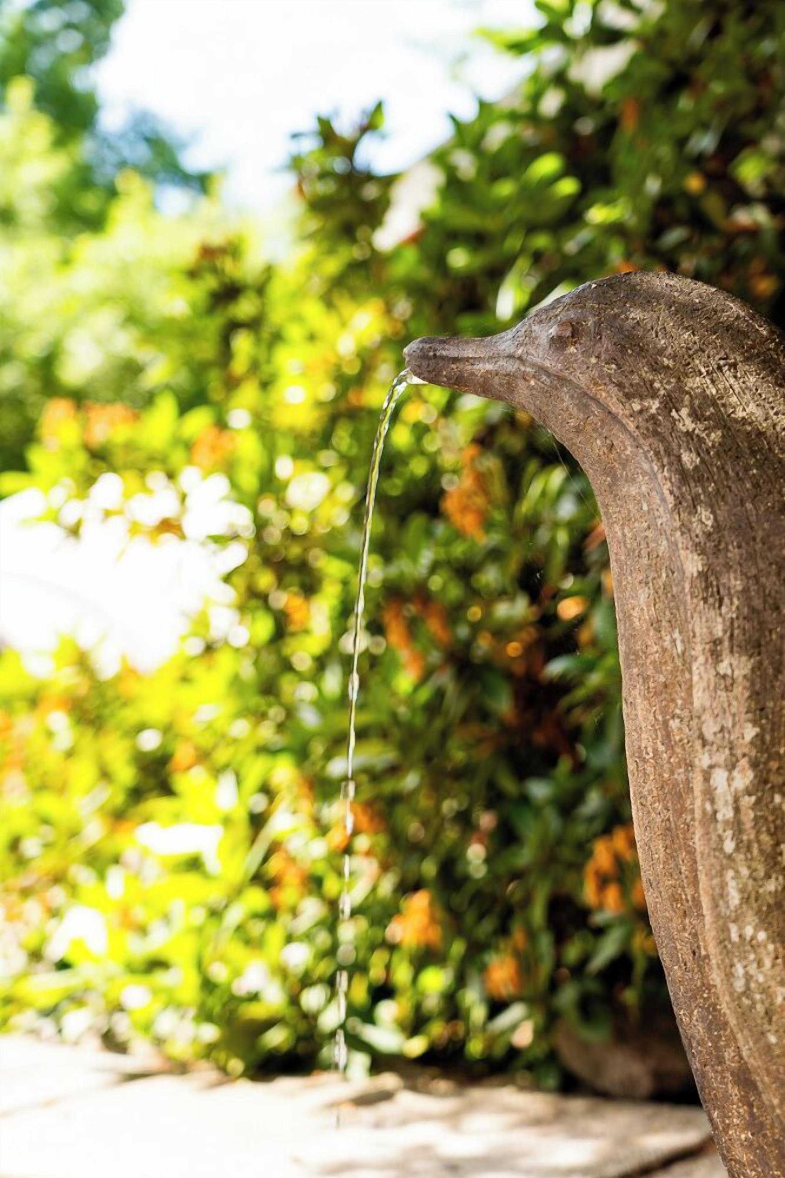 Ein Steinkrug, aus dessen Ausguss Wasser fließt, vor einer Kulisse aus üppigem Grün.