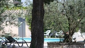 A poolside area with a stone planter, lounge chairs, and a tree.
