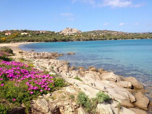 A coastal landscape with clear blue waters, rocky shoreline, and pink flowers in the foreground. - Camping Village Capo D'Orso (Palau)