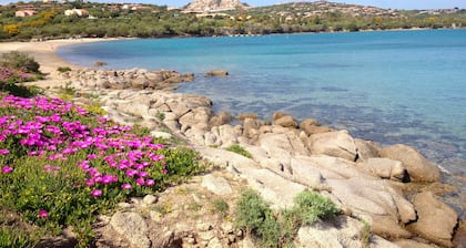 Camping Village Capo D'Orso