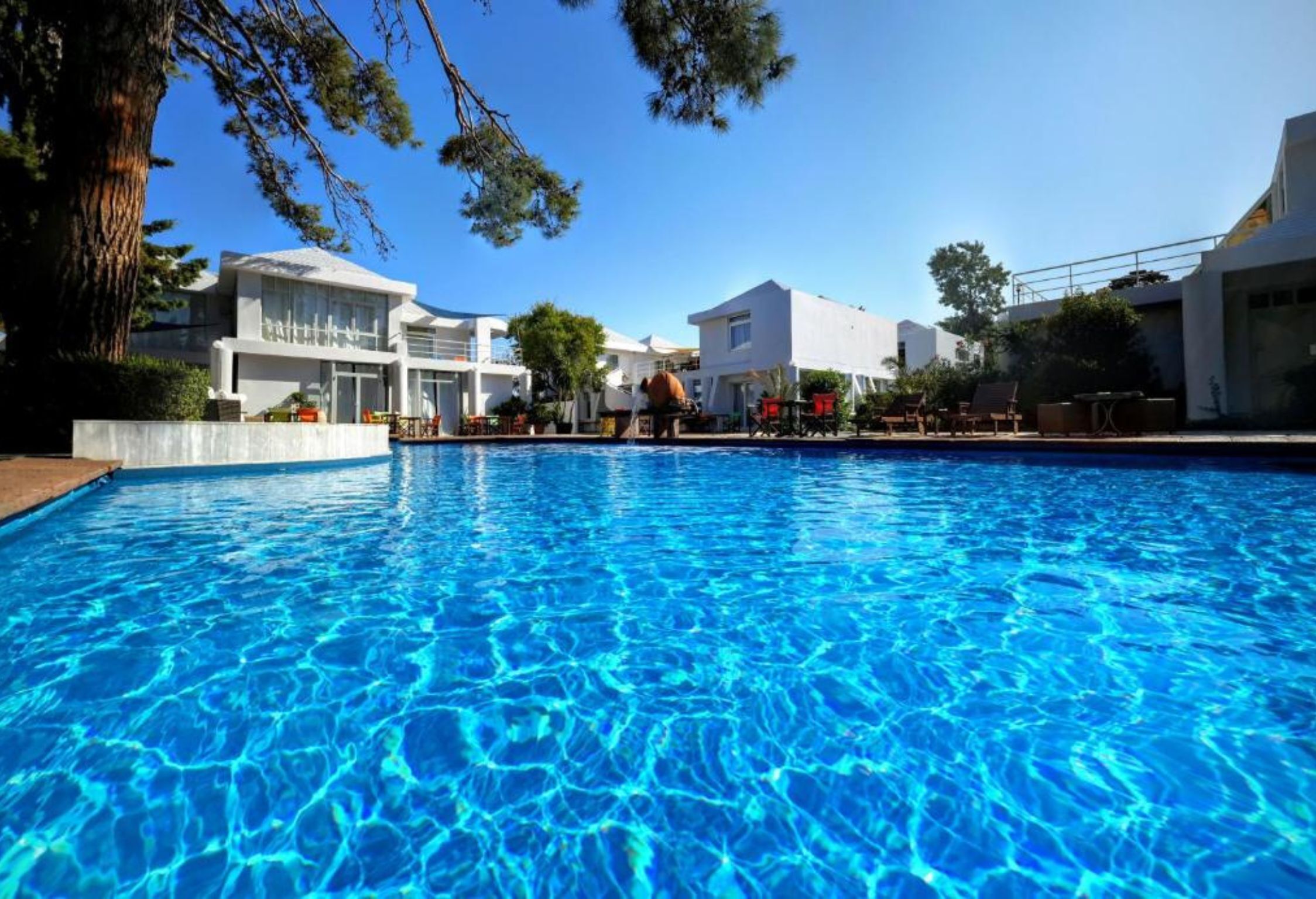 Outdoor pool, pool umbrellas, sun loungers