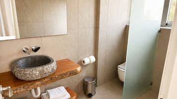 A modern bathroom with a stone basin, wooden shelves, a toilet, and a glass shower door.