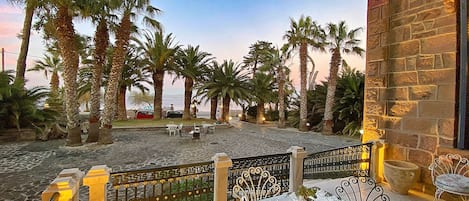 A patio area with outdoor seating, palm trees, and a view of the sea.