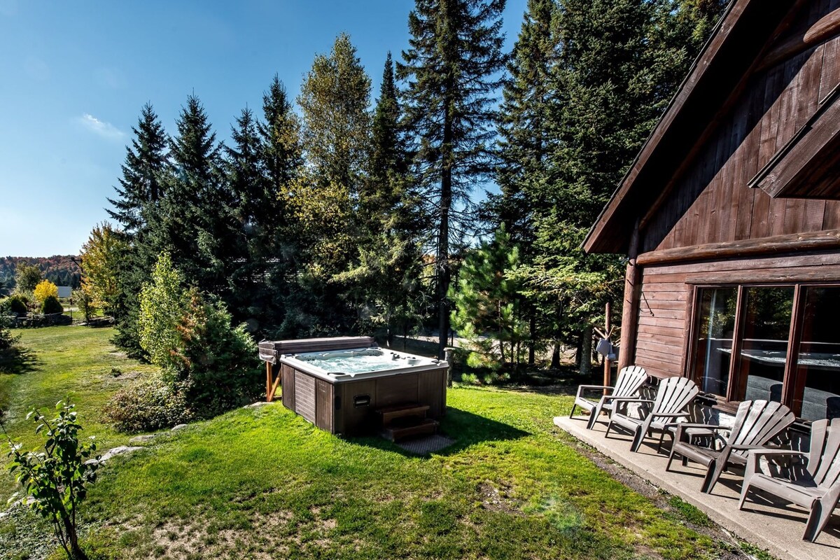 Chalet vue Lac, 2 chambres, spa | 1 soverom, strykejern/-brett, wi-fi (inkludert) og individuelt innredet