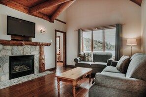 Téléviseur à écran plat, foyer, lecteur de DVD