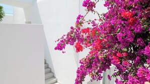 A modern staircase with white walls and glass railings, surrounded by vibrant pink bougainvillea flowers. - The George Hotel (Mykonos)