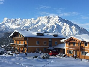 Exterior - Pension David (Puch bei Hallein)