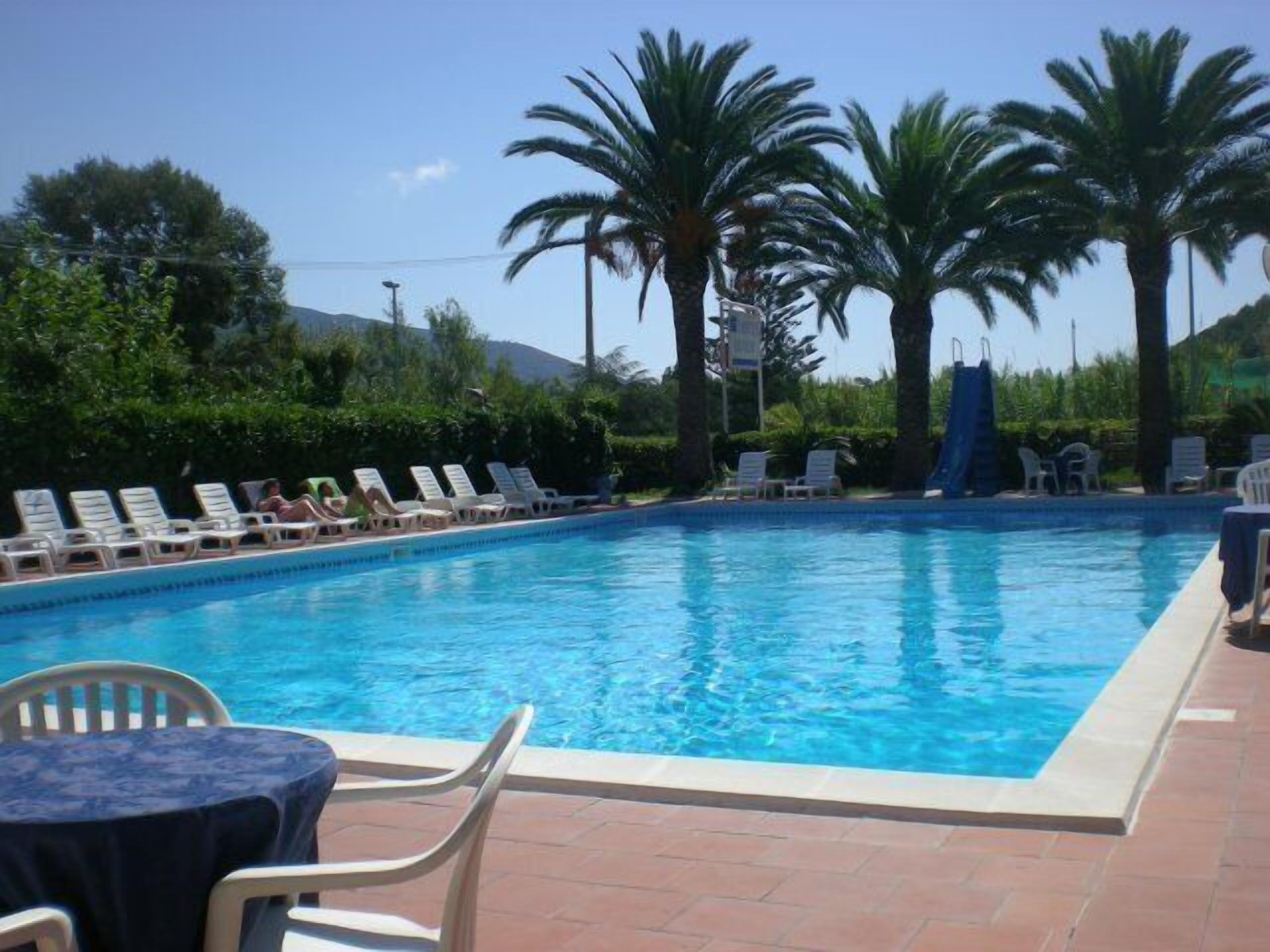 A swimming pool with lounge chairs and a table, surrounded by palm trees and greenery.