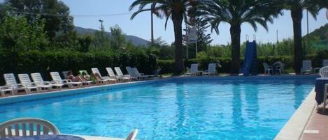 A swimming pool with lounge chairs and a table, surrounded by palm trees and greenery.