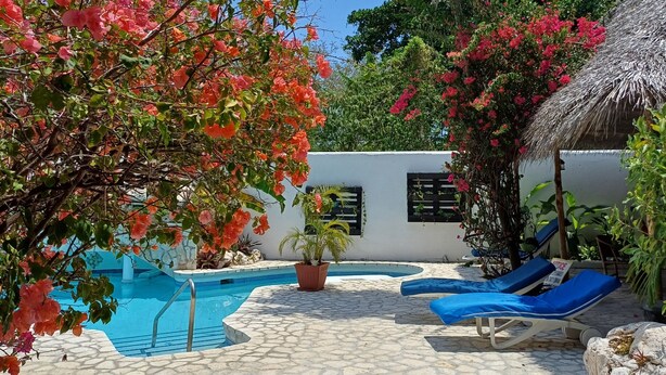 View from property - LTU Garden (Negril)