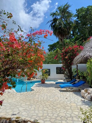 View from property - LTU Garden (Negril)