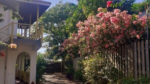 A pathway leading to a building with a balcony, surrounded by lush greenery and flowering plants. - LTU Garden (Negril)