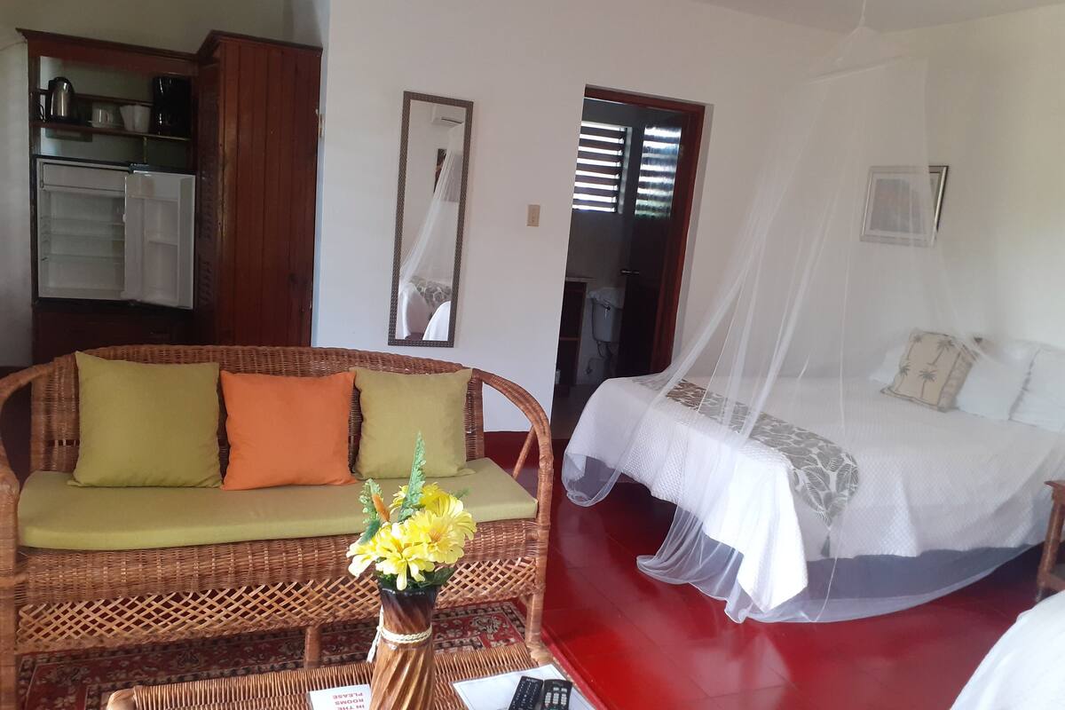 A room with a bed, a sofa, a coffee table with a vase, a kitchen area, and a bathroom.